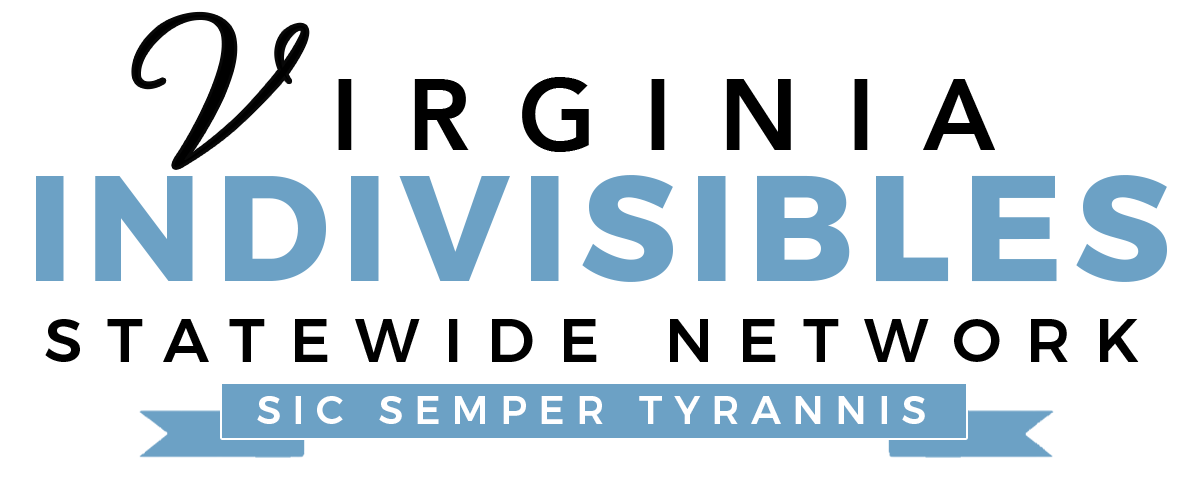 Virginia Indivisibles Statewide Network