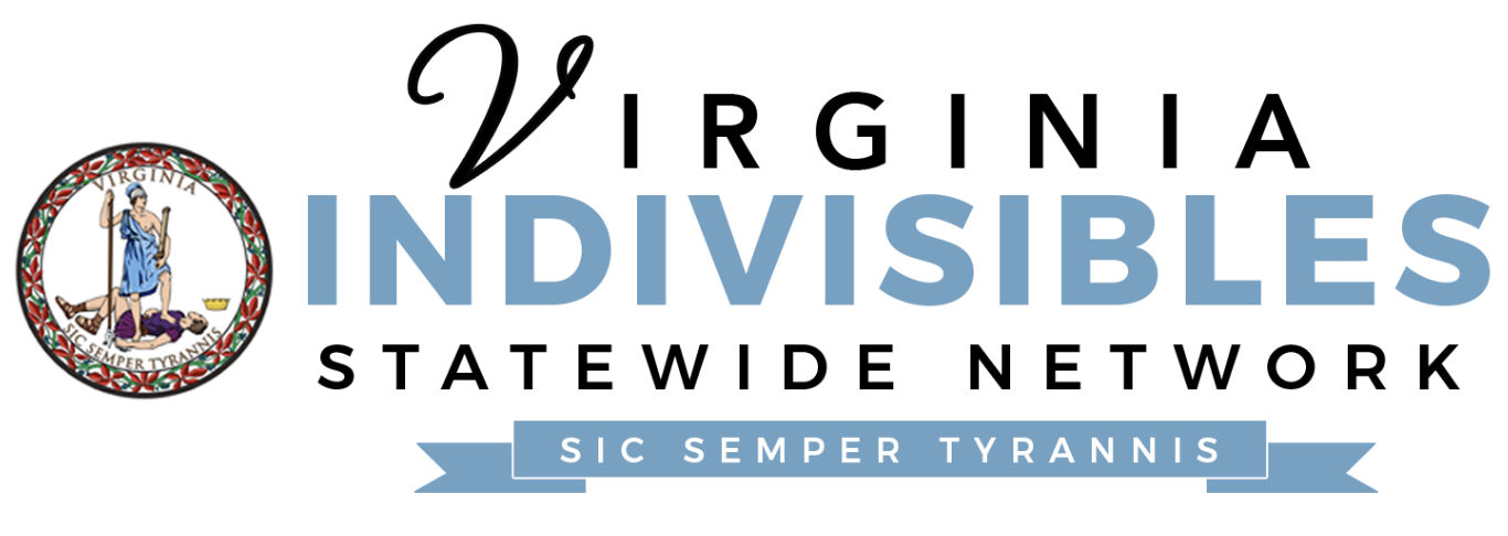 Virginia Indivisibles Statewide Network